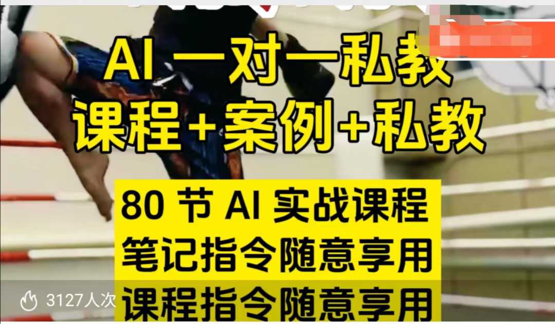 AI指令实战课，课程+案例，80节AI实战课程，笔记指令随意享用，课程指令随意享用(更新7月) - 搞薯条网-搞薯条网