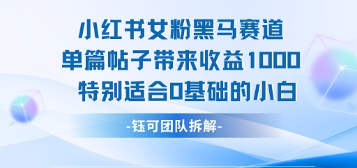 小红书女粉黑马赛道单篇帖子带来收益1k+，特别适合0基础的小白 - 搞薯条网-搞薯条网