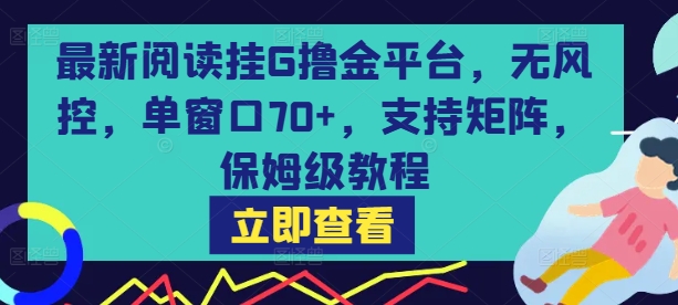 最新阅读挂G撸金平台，无风控，单窗口70+，支持矩阵，保姆级教程【揭秘】 - 搞薯条网-搞薯条网