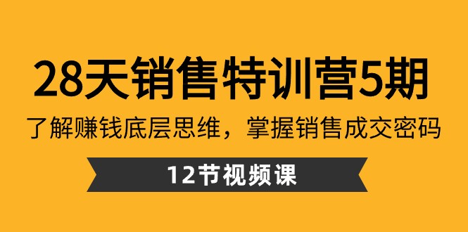 28天销售特训营5期：了解赚钱底层思维，掌握销售成交密码（12节课） - 搞薯条网-搞薯条网