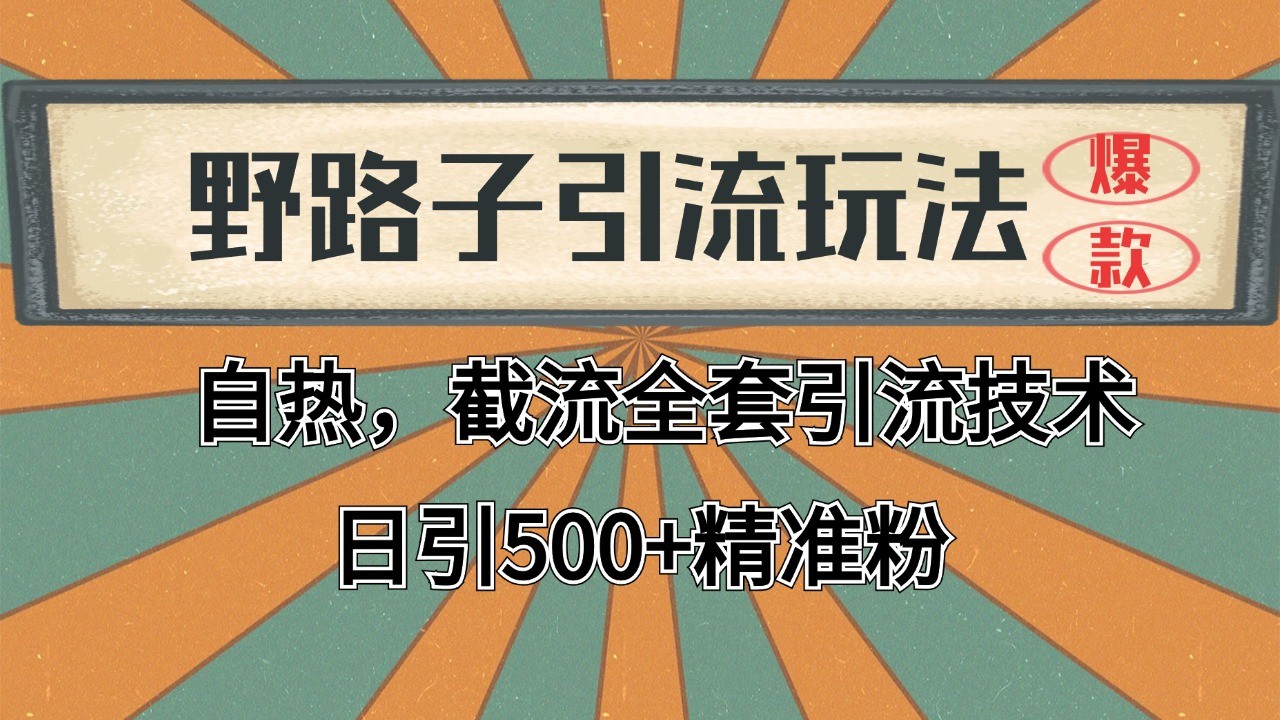 2024首发野路子引流玩法截流自热全平台打法，全自动引流【日引2000+精准客户】 - 搞薯条网-搞薯条网