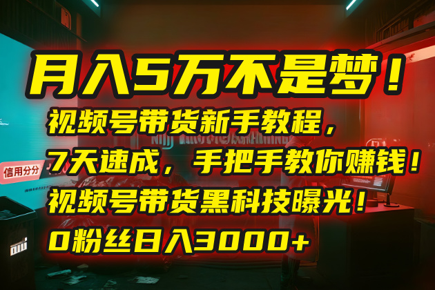 月入5万不是梦！视频号带货新手教程，7天速成，手把手教你赚钱！视频号… - 搞薯条网-搞薯条网
