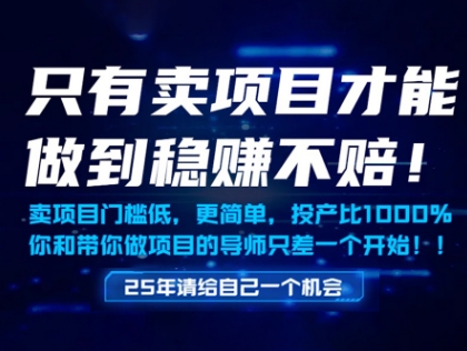 只有卖项目才能做到稳挣不赔，门槛低，更简单，你也可以年入百个W【揭秘】 - 搞薯条网-搞薯条网