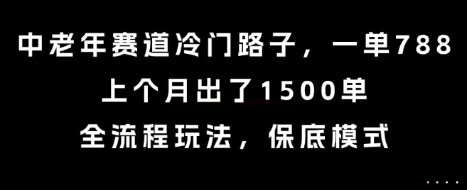 中老年赛道冷门路子，一单788，上个月出了1500单，全流程玩法，保底模式【揭秘】 - 搞薯条网-搞薯条网