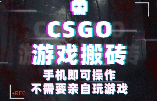 CSGO游戏挂G捡漏,单日扫货5张+,年底小高峰上车可吃肉,手机即可操作,兼职副业创业网创【揭秘】-搞薯条网