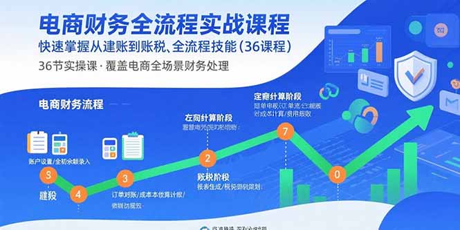 电商财务全流程实战课程：快速掌握从建账到报税的全流程技能(36节课 - 搞薯条网-搞薯条网