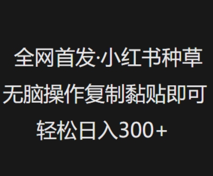 全网首发，小红书种草无脑操作，复制黏贴即可，轻松日入3张 - 搞薯条网-搞薯条网