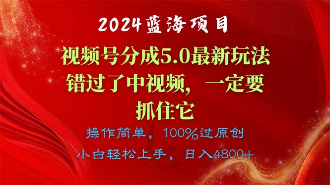 2024蓝海项目，视频号分成计划5.0最新玩法，错过了中视频，一定要抓住… - 搞薯条网-搞薯条网