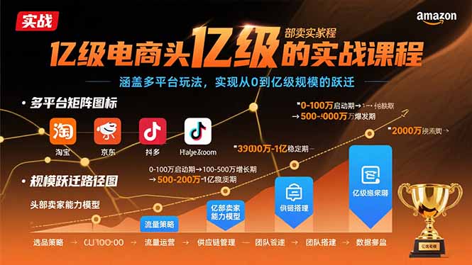 亿级电商头部卖家的实战课程：涵盖多平台玩法，实现从0到亿级规模的跃迁 - 搞薯条网-搞薯条网