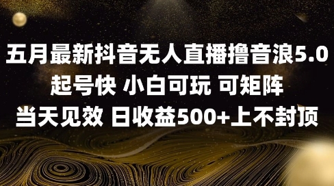 2025五月最新无人直播撸音浪单日产出5张+实操教程【揭秘】 - 搞薯条网-搞薯条网