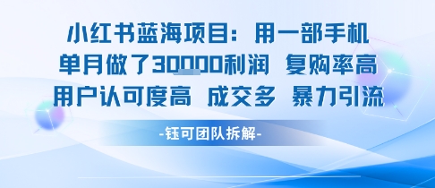 小红书蓝海项目，一部手机单月做了3W利润，小白也能月入过1W用户认可度高成交多 - 搞薯条网-搞薯条网