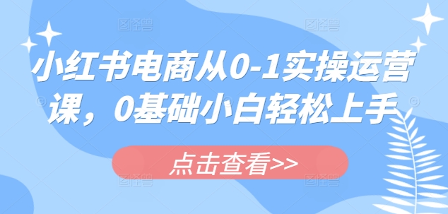 小红书电商从0-1实操运营课，0基础小白轻松上手 - 搞薯条网-搞薯条网