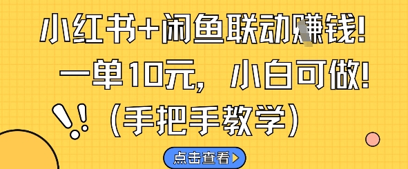 小红书+闲鱼联动挣钱，一单10元，小白可做 - 搞薯条网-搞薯条网