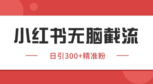 小红书截流同行客源，独家野路子获客玩法 日引200+暴力获客【揭秘】 - 搞薯条网-搞薯条网