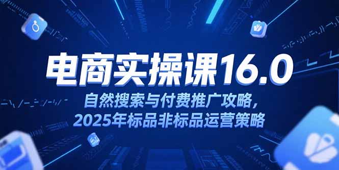 淘宝电商运营课16.0，自然搜索与付费推广攻略，2025年标品非标品运营策略 - 搞薯条网-搞薯条网