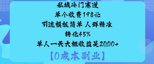 私域冷门赛道:单个收费198米引流模板简单人群精准转化45%单人一天大概收益是1k+ - 搞薯条网-搞薯条网