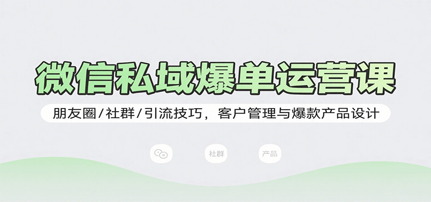 微信私域爆单运营课：朋友圈/社群/引流技巧，客户管理与爆款产品设计 - 搞薯条网-搞薯条网