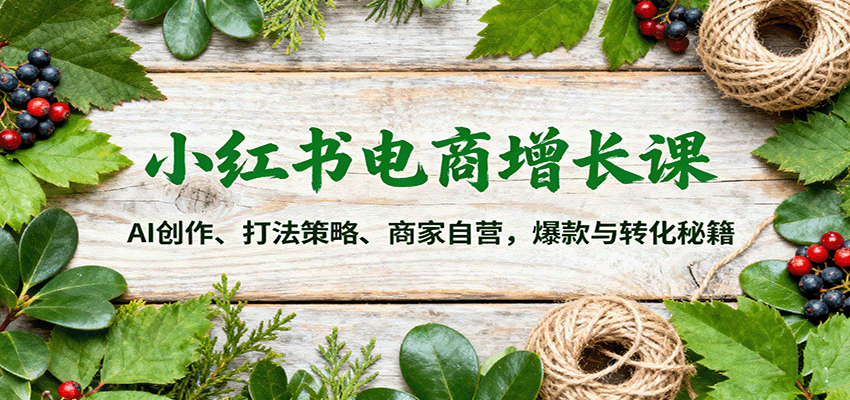 小红书电商增长课:AI创作、打法策略、商家自营,爆款与转化秘籍-搞薯条网