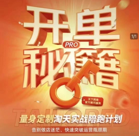 淘宝开单秘籍PRO，量身定制淘天实战陪跑计划，告别做店迷茫、快速突破运营瓶颈期(更新) - 搞薯条网-搞薯条网