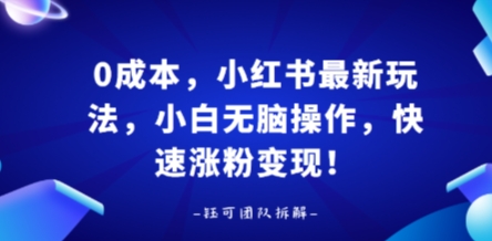 0成本，小红书最新玩法，小白无脑操作，快速涨粉变现 - 搞薯条网-搞薯条网
