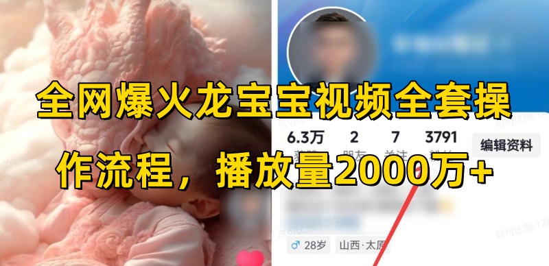 全网爆火龙宝宝视频全套操作流程，播放量2000万+ - 搞薯条网-搞薯条网