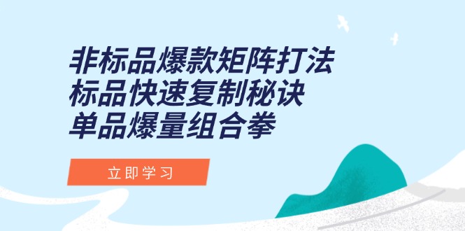 非标品爆款矩阵打法，标品快速复制秘诀，单品爆量组合拳 - 搞薯条网-搞薯条网
