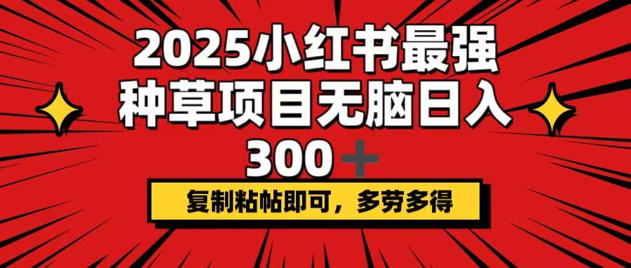 2025小红书最强种草项目，无脑日入300+，复制粘帖即可，多劳多得 - 搞薯条网-搞薯条网