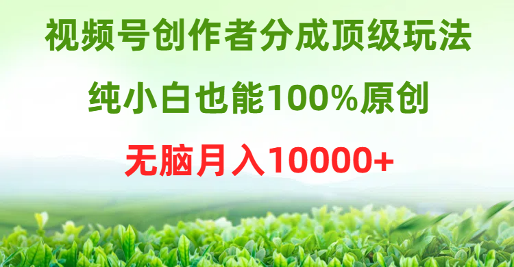 (9608期)视频号创作者分成顶级玩法，纯小白也能100%原创，无脑月入10000+ - 搞薯条网-搞薯条网