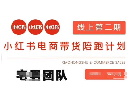 小红书电商带货课2期，月利润20个的小红书电商的有货源，无货源，虚拟产品，付费投流等整套玩法 - 搞薯条网-搞薯条网