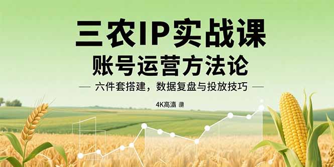 三农IP实战课：账号运营方法论，六件套搭建，数据复盘与投放技巧 - 搞薯条网-搞薯条网