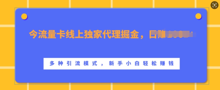流量卡线上独家代理掘金，日入1k+ ，多种引流模式，新手小白轻松上手【揭秘】 - 搞薯条网-搞薯条网