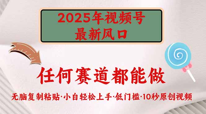 2025年视频号新风口，低门槛只需要无脑执行 - 搞薯条网-搞薯条网