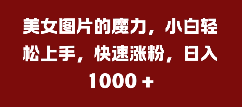 美女图片的魔力，小白轻松上手，快速涨粉，日入几张【揭秘】 - 搞薯条网-搞薯条网