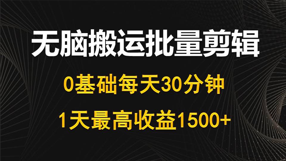 (10008期)每天30分钟，0基础无脑搬运批量剪辑，1天最高收益1500+ - 搞薯条网-搞薯条网
