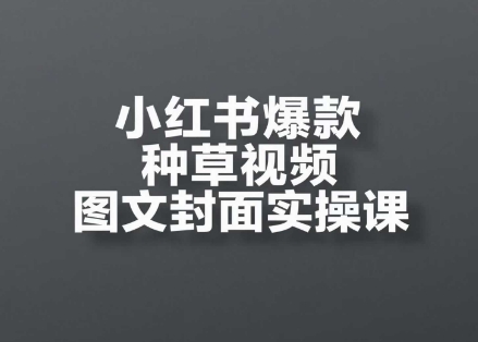 小红书爆款种草视频图文封面实操课，​开店、选品、引流、变现全流程 - 搞薯条网-搞薯条网