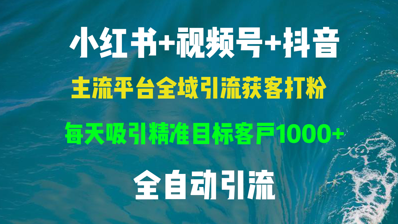 小红书，视频号，抖音主流平台全域引流获客打粉，每天吸引精准目标客户… - 搞薯条网-搞薯条网