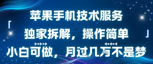 苹果手机技术服务，独家拆解，操作简单，小白可做，月过1W不是梦 - 搞薯条网-搞薯条网
