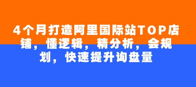 4个月打造阿里国际站TOP店铺，懂逻辑，精分析，会规划，快速提升询盘量 - 搞薯条网-搞薯条网