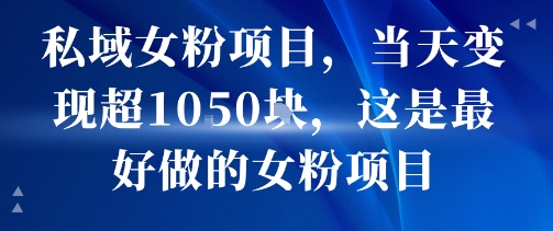私域女粉项目，当天变现超1k，这是最好做的女粉项目，可放大操作 - 搞薯条网-搞薯条网