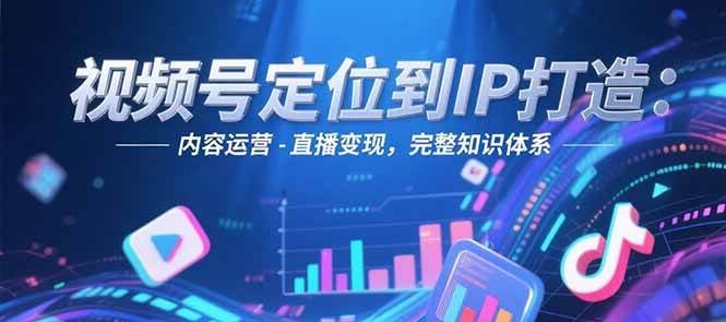视频号定位到IP打造：账号搭建-内容运营-直播变现，完整知识体系 - 搞薯条网-搞薯条网