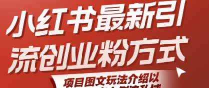 小红书最新引流创业粉方式，项目图文玩法介绍以及如何安全倒流私域 - 搞薯条网-搞薯条网
