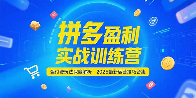 拼多多盈利实战训练营，强付费玩法深度解析，2025运营技巧合集-更新6月 - 搞薯条网-搞薯条网