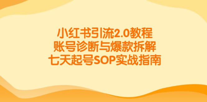 小红书引流2.0教程，账号诊断与爆款拆解，七天起号SOP实战指南 - 搞薯条网-搞薯条网