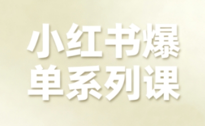 小红书爆单系列课，聚焦小红书电商全链路增长 - 搞薯条网-搞薯条网
