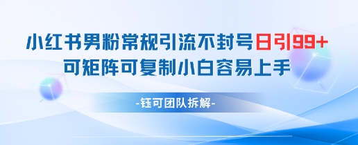 小红书男粉常规引流不封号日引99+变现简单 可矩阵可复制小白容易上手 - 搞薯条网-搞薯条网