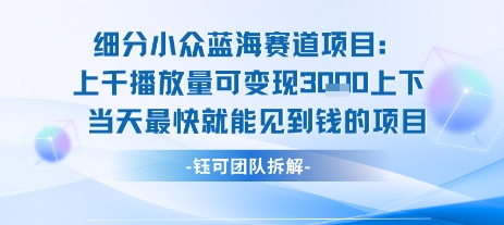小众蓝海赛道项目：当天变现1k+适合新手操作 +适合长期玩 - 搞薯条网-搞薯条网
