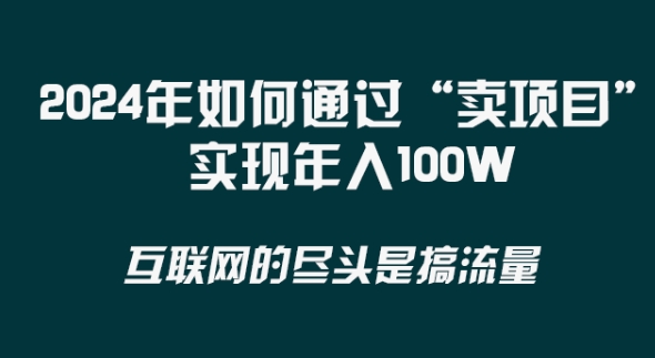 2024年 做项目不如‘卖项目’更快更直接！年入100万 - 搞薯条网-搞薯条网
