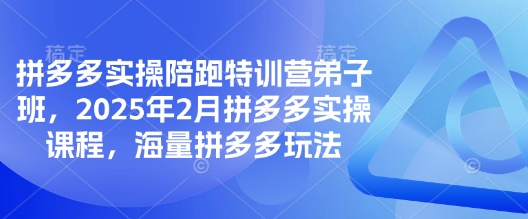 拼多多实操陪跑特训营弟子班，2025年2月拼多多实操课程，海量拼多多玩法 - 搞薯条网-搞薯条网