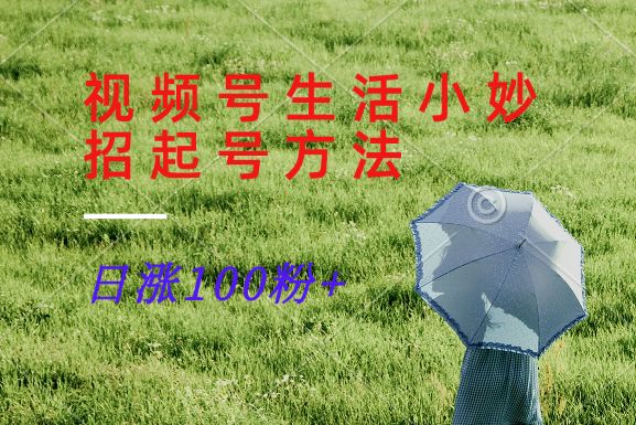 视频号生活小妙招分享赛道， 起号涨粉新方法，日涨100粉 - 搞薯条网-搞薯条网