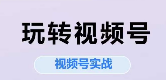 玩转视频号，视频号实战系列课 - 搞薯条网-搞薯条网